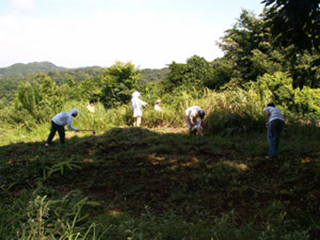 2007年8月1日～2日　台峯緑地 山の手入れに高校生ボランティア参加