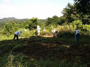 2007年8月1日～2日　台峯緑地 山の手入れに高校生ボランティア参加