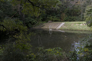 2024年11月17日　台峯緑地 山歩き