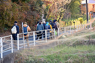 2024年12月15日 台峯緑地 山歩き