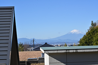 2024年12月15日 台峯緑地 山歩き