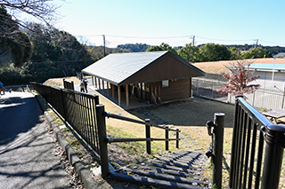 2024年12月15日 台峯緑地 山歩き