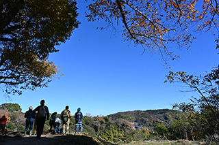 2024年12月15日 台峯緑地 山歩き