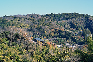 2024年12月15日 台峯緑地 山歩き