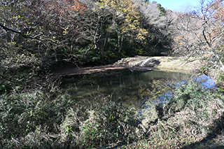 2024年12月15日 台峯緑地 山歩き