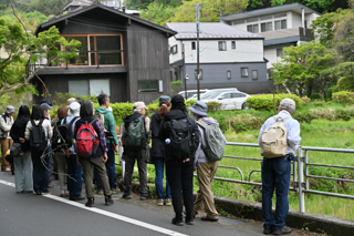 2025年4月20日 台峯緑地 山歩き