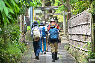 2025年5月18日 台峯緑地 山歩き