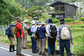2025年4月20日 台峯緑地 山歩き