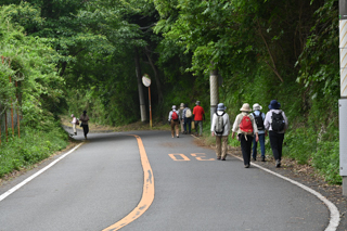 2025年5月18日 台峯緑地 山歩き