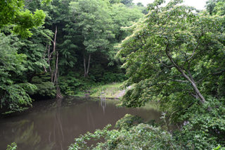 2025年5月18日 台峯緑地 山歩き