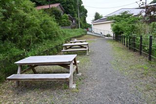 2025年4月20日 台峯緑地 山歩き