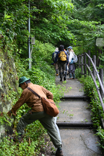 2025年4月20日 台峯緑地 山歩き