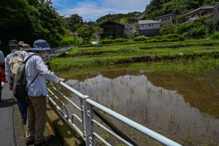 2025年4月20日 台峯緑地 山歩き