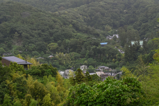台峯緑地 山歩き