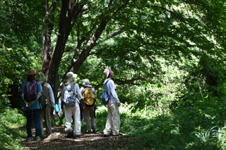 山歩きの様子