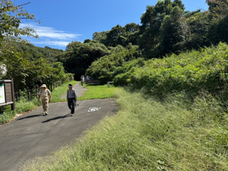 2025年4月20日 台峯緑地 山歩き