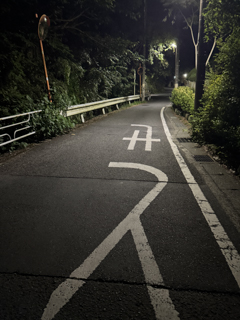 2025年9月23日 台峯緑地 マツムシを聴く会