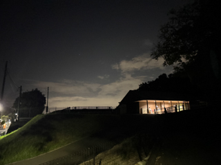 2025年9月23日 台峯緑地 マツムシを聴く会