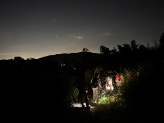 2025年09月23日 台峯緑地 マツムシを聴く会