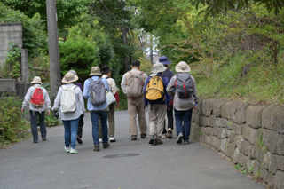 台峯緑地 山歩き