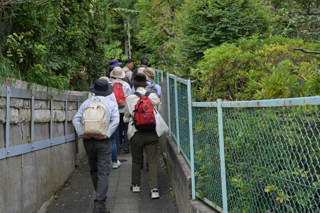 台峯緑地 山歩き