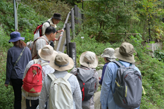 台峯緑地 山歩き