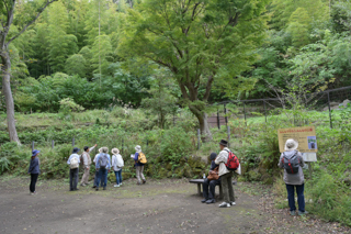 北鎌倉
台峯緑地 山歩き