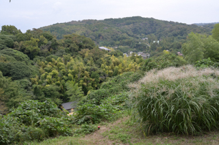 北鎌倉
台峯緑地 山歩き