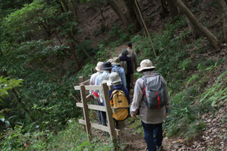 北鎌倉
台峯緑地 山歩き