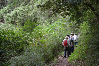 山歩きの様子