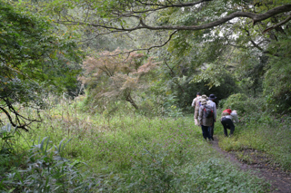 北鎌倉
台峯緑地 山歩き