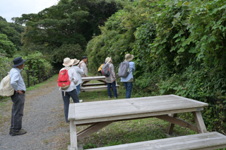 北鎌倉
台峯緑地 山歩き