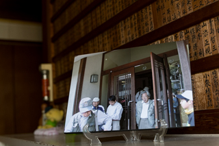 台峯緑地 山歩き