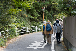 北鎌倉
台峯緑地 山歩き