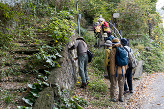 台峯緑地 山歩き
