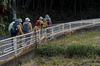 台峯緑地 山歩き