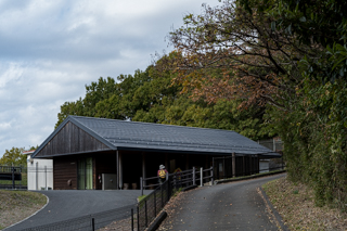台峯緑地 山歩き