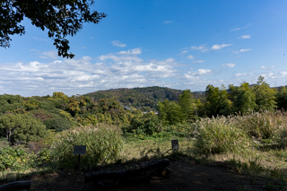 台峯緑地 山歩き