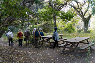 北鎌倉
台峯緑地 山歩き