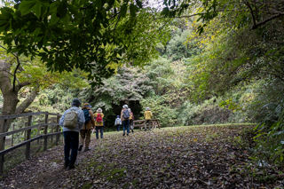 北鎌倉
台峯緑地 山歩き