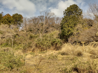 北鎌倉
台峯緑地 
山歩の手入れ