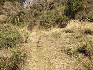 北鎌倉
台峯緑地 
山歩の手入れ