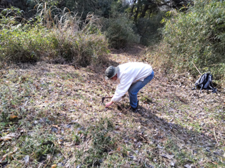 北鎌倉
台峯緑地 
山歩の手入れ