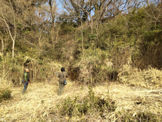 北鎌倉
台峯緑地 
山歩の手入れ